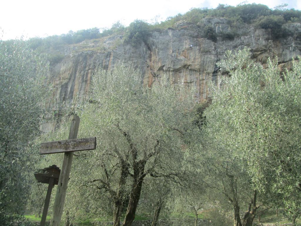 Massone Climbing Home Arco Exterior foto